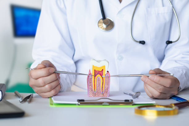 Best Broken or Cracked Tooth Emergency Dentist in Paden City, WV